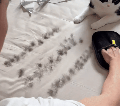 Gant magique anti-poil EasyGroom