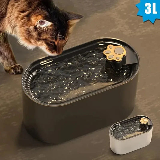 Fontaine à eau chat lumineuse - Hydratation saine et fun