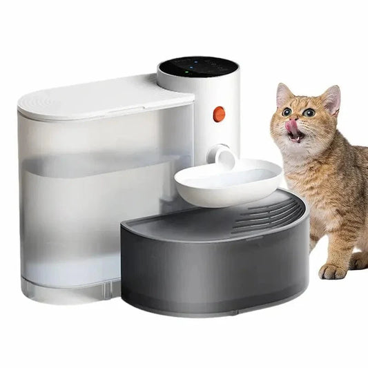 Fontaine à eau chat sans filtre - 3L & autonomie sans recharge Griffe d'Amour