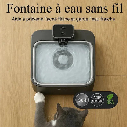Fontaine à eau DownyPaws - Inox anti-bactérien, zéro fil