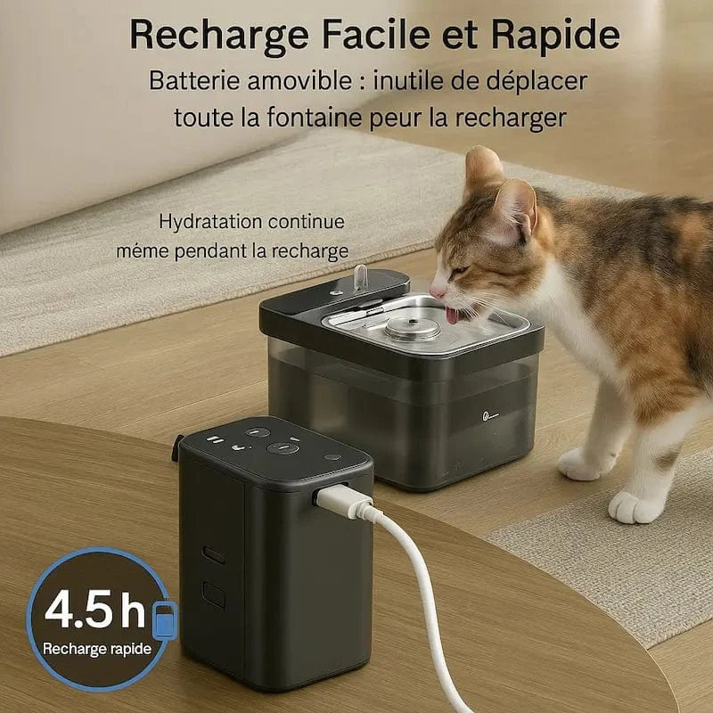 Fontaine à eau DownyPaws - Inox anti-bactérien, zéro fil