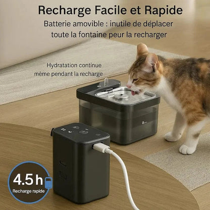 Fontaine à eau DownyPaws - Inox anti-bactérien, zéro fil