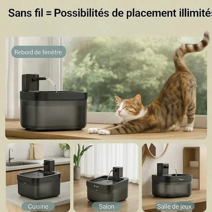 Fontaine à eau DownyPaws - Inox anti-bactérien, zéro fil