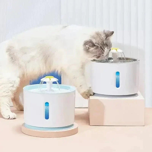 Fontaine à eau pour chat acier inoxydable - Eau fraîche