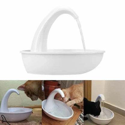 Fontaine automatique pour chat - Hydratation saine 24/7 garantie