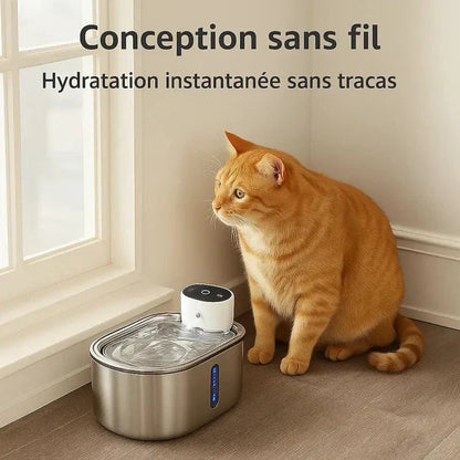 Fontaine chat sans fil à pile - Hydratation libre et durable