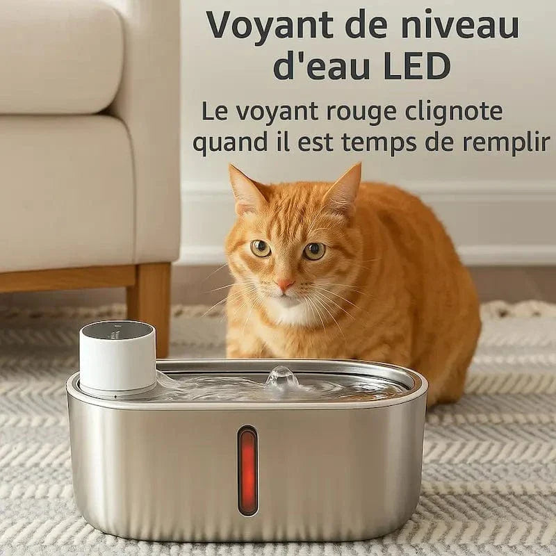 Fontaine chat sans fil à pile - Hydratation libre et durable