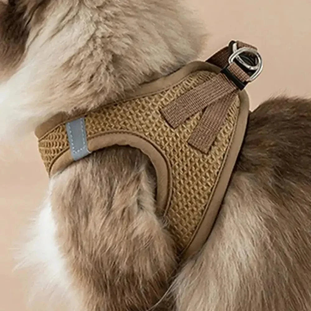 Harnais chat anti-évasion - Sécurité renforcée | SecuCat