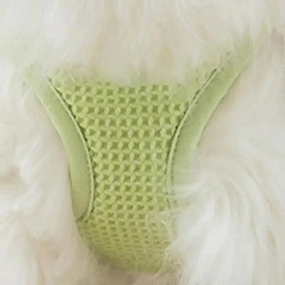 Harnais chat anti-évasion - Sécurité renforcée | SecuCat