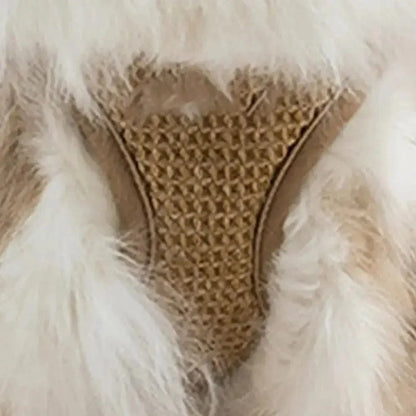 Harnais chat anti-évasion - Sécurité renforcée | SecuCat