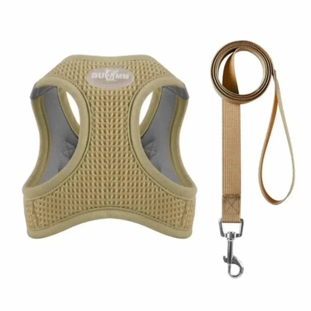 Harnais chat anti-évasion - Sécurité maximale et confort Griffe d'Amour