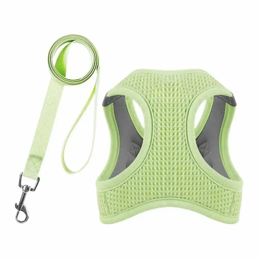 Harnais chat anti-évasion - Sécurité maximale et confort Griffe d'Amour