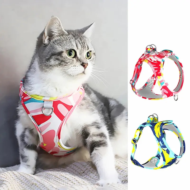 Harnais chat anti-fuite - Sécurité et confort | SecuPet