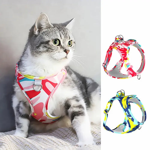 Harnais chat anti-fuite - Sécurité et confort | SecuPet
