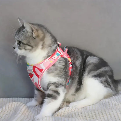 Harnais chat anti-fuite - Sécurité et confort | SecuPet
