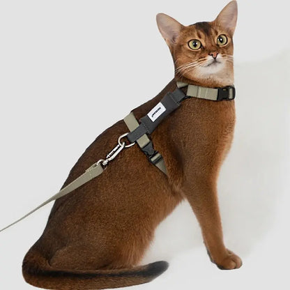 Harnais chat en H - Sécurité & confort | MaxiSafe