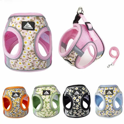 Harnais chat en polyester - Anti-fugue sécurisé | PolyCat