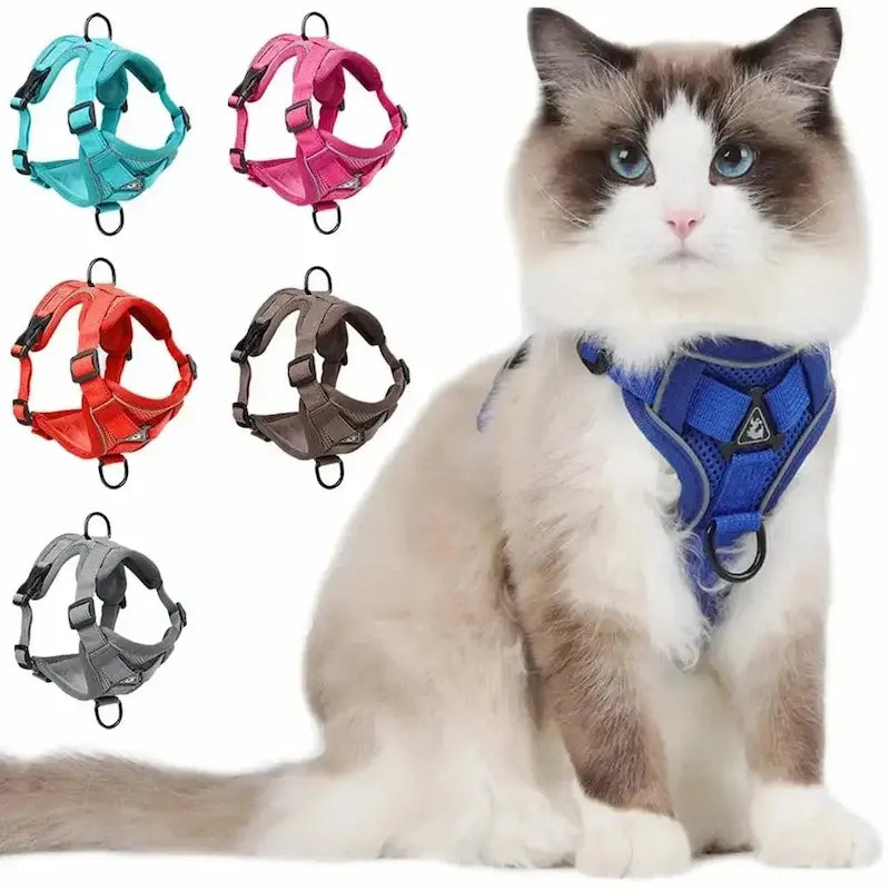 Harnais chat en Y - Anti-fugue sécurisé | Safycat