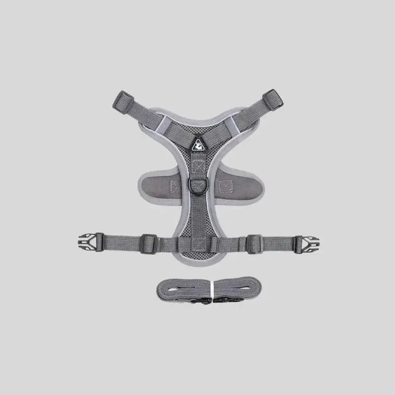 Harnais chat en Y
