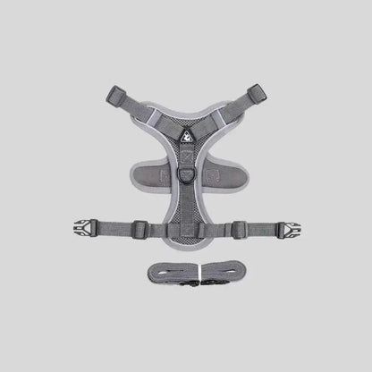 Harnais chat en Y