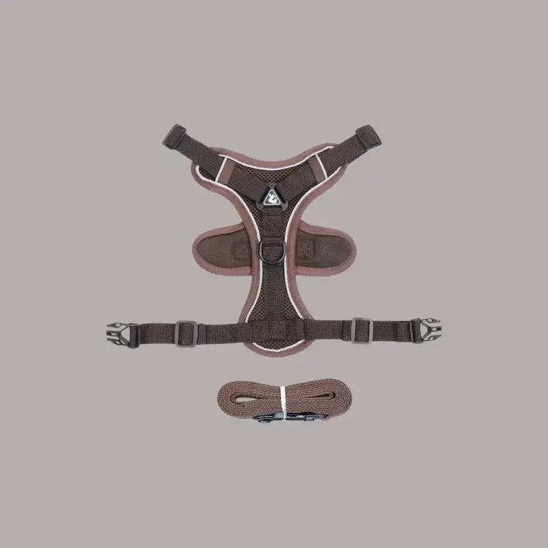 Harnais chat en Y