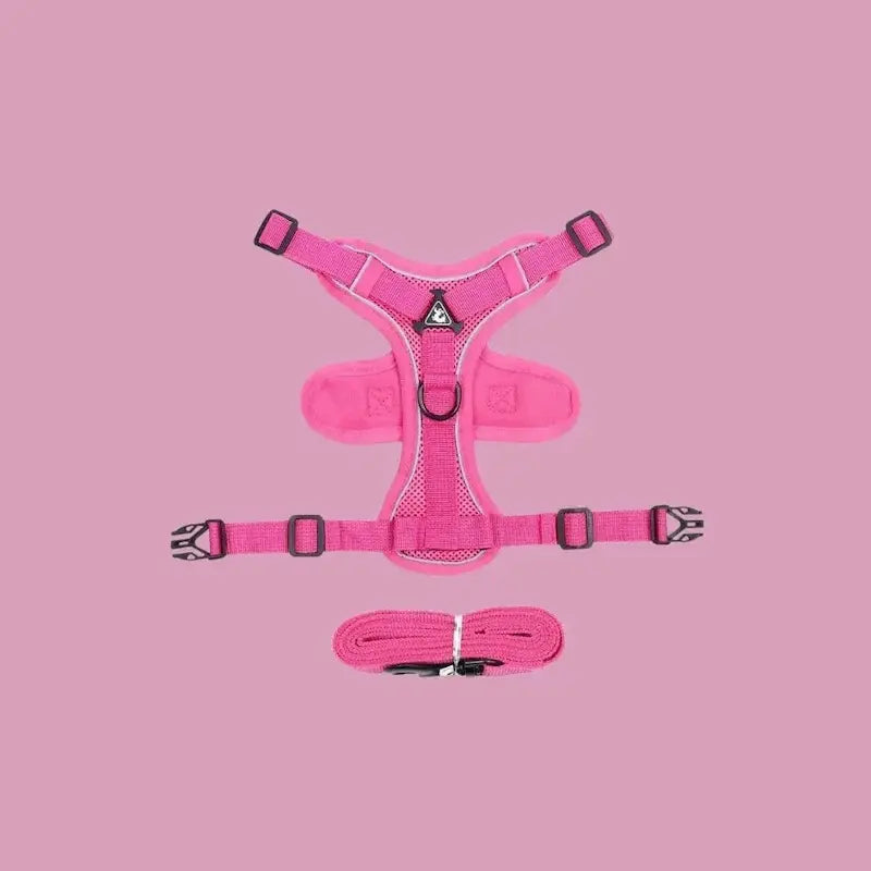 Harnais chat en Y