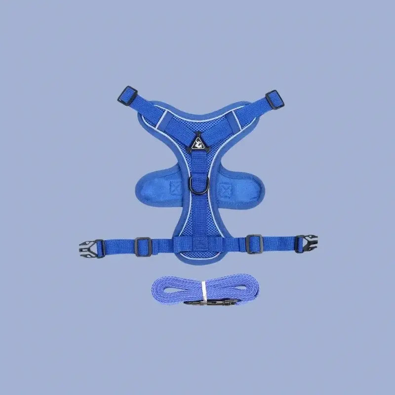 Harnais chat en Y