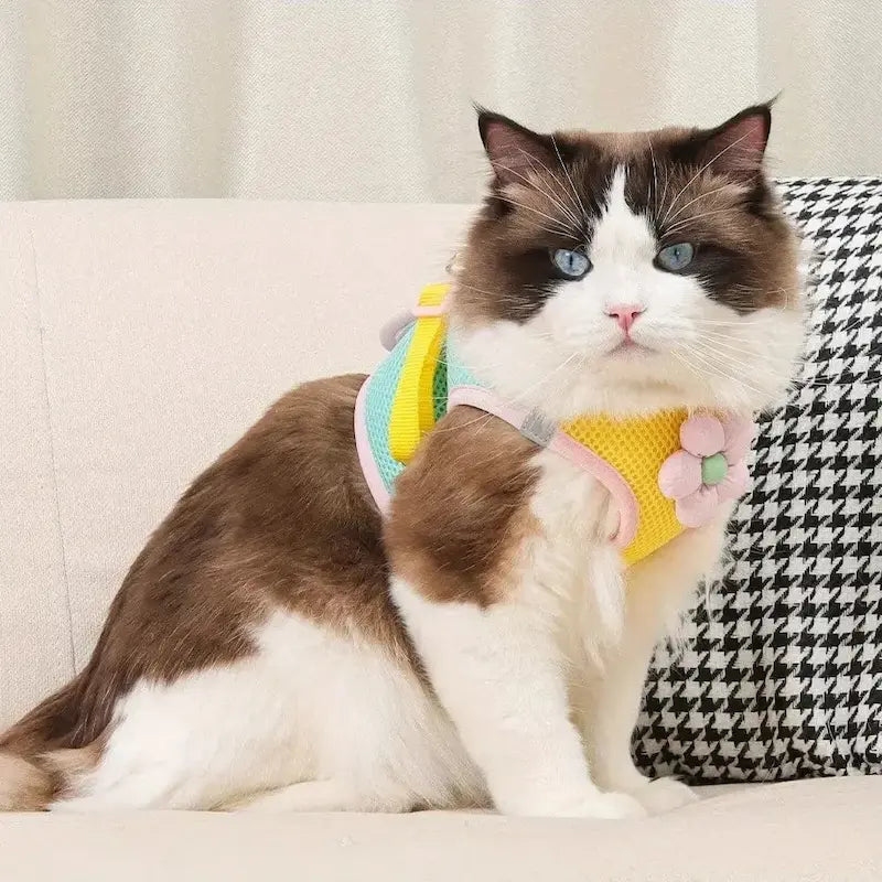 Harnais chat fleuri - Balade élégante | FlowerPower