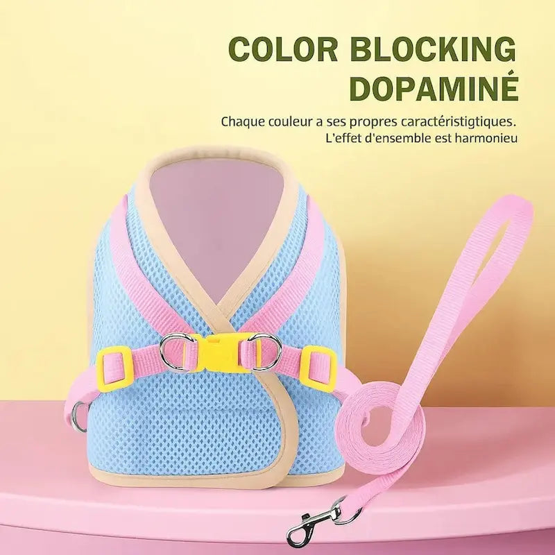 Harnais chat fleuri - Balade élégante | FlowerPower