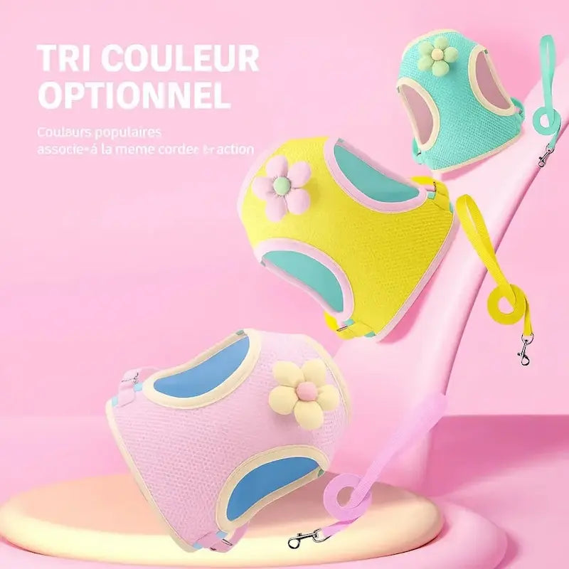 Harnais chat fleuri - Balade élégante | FlowerPower