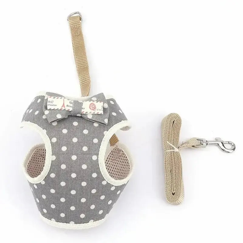 Harnais chat nœud papillon