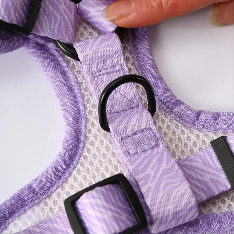 Harnais laisse coloré - Sécurité et confort | WalkyColor