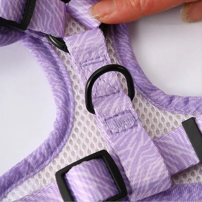 Harnais laisse coloré - Sécurité et confort | WalkyColor