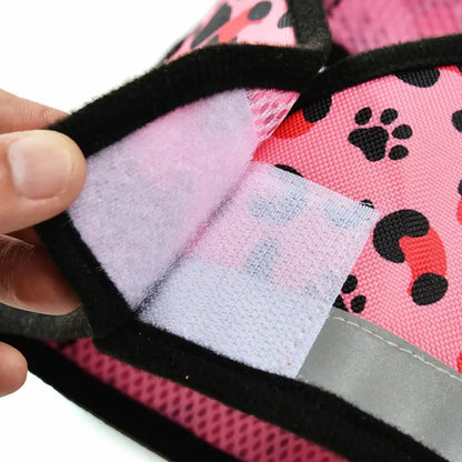 Harnais léopard chat - Sécurité & confort | Pawild