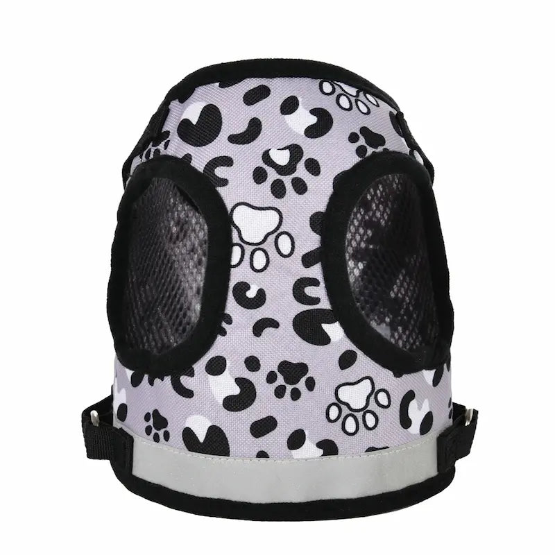 Harnais léopard chat