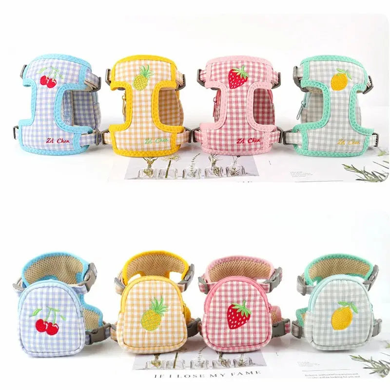 Harnais sac à dos chat – Sécurité & confort | BagyGo