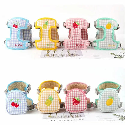 Harnais sac à dos chat – Sécurité & confort | BagyGo