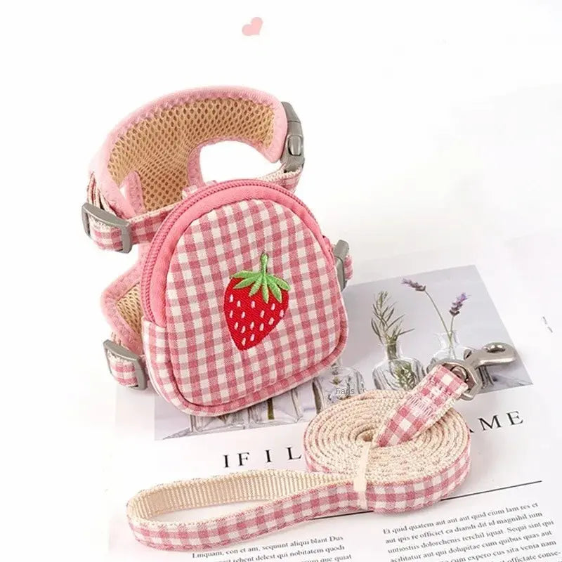 Harnais sac à dos chat – Sécurité & confort | BagyGo