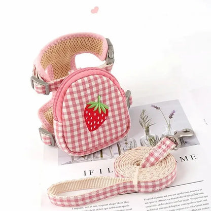 Harnais sac à dos chat – Sécurité & confort | BagyGo