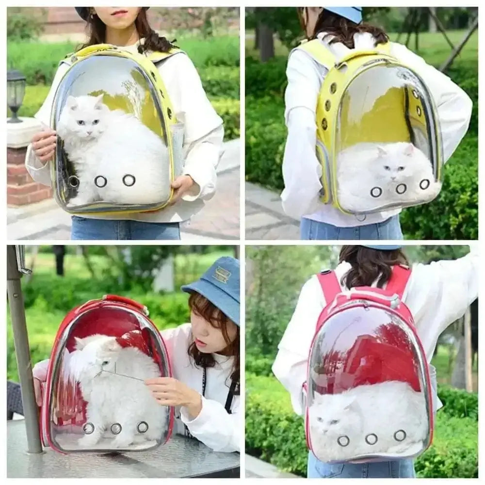 Sac à dos bulle chat – vue à 180° | BubblePaw