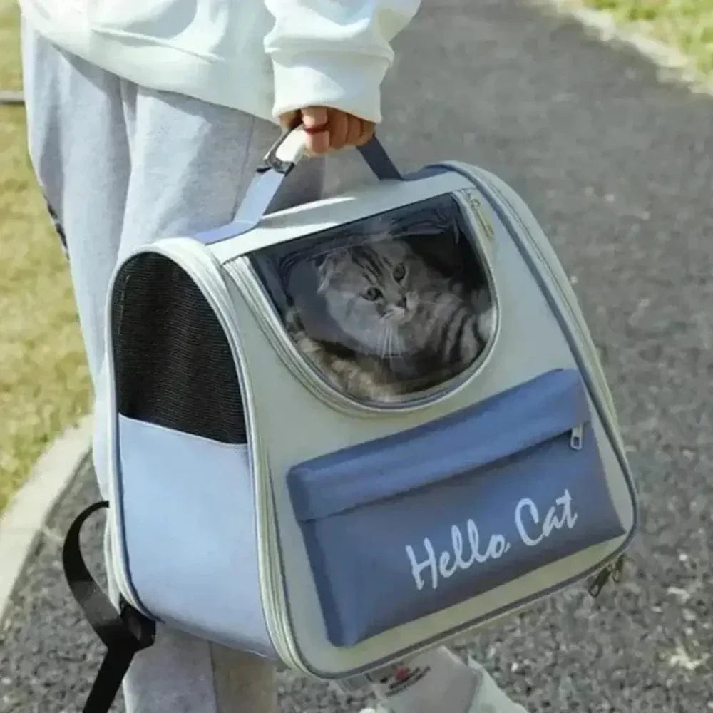 Sac à dos chat – respirant & sûr | Hello Cat