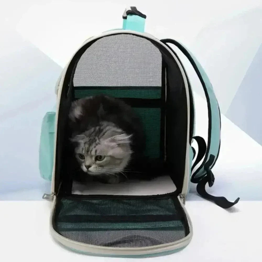 Sac à dos chat – respirant & sûr | Hello Cat