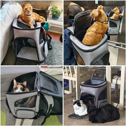Sac à dos pour chat randonnée – ultra respirant | TrekCat