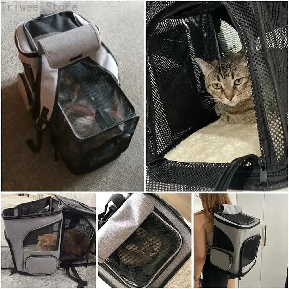Sac à dos pour chat randonnée – ultra respirant | TrekCat